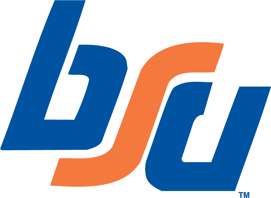 Boise State Broncos 1974-1983 Primary Logo DIY iron on transfer (heat transfer)